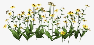 Free Png Plants Transparent Png Images Transparent - Wildflower Clip Art Free #9331797