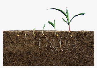 Soil Transparent - Earth Soil Png #9331838
