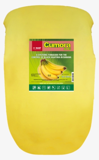 Direction For Use - Banana #9331881