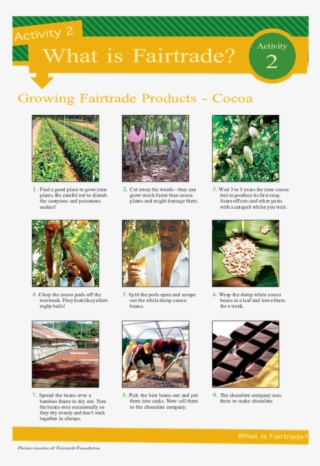 Page - Tree #9333288