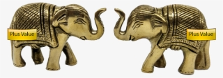 Indian Elephant #9337419 Indian Elephant #9337419
