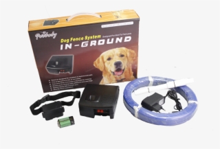 Dog Pet Fencing System - Labrador Retriever #9337922