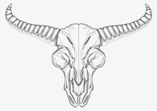 Skull #9339617 Skull #9339617