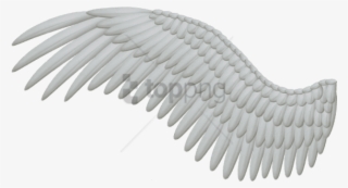 Free Png White Angel Wings Png Image With Transparent - Bird Wings Png #9340524