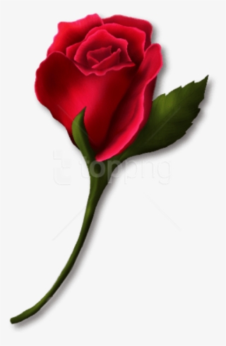 Free Png Download Red Rose Bud Painted Png Images Background - Rose Bud Clip Art #9340940