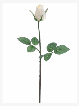 5" Rose Bud Spray White - Garden Roses #9341091