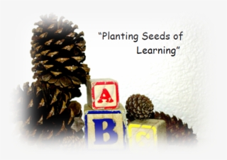 Alternate Pineconelogo - Two Needle Pinyon Pine #9342903