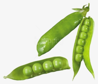 Free Png Pea Png Images Transparent - Pea #9343049