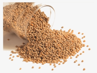 Various Compounds, Minerals And Proteins In Pigeon - Sorghum Grain #9343092