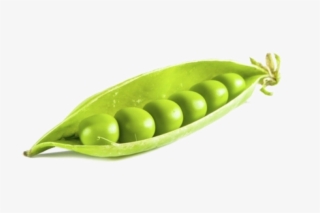 Pea Png Background Image - Vegetable Png #9343097