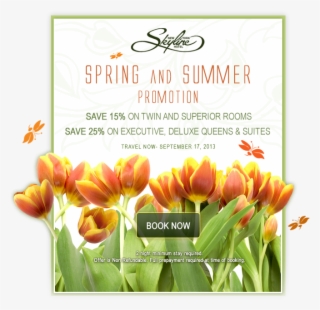 Midtown Manhattan Hotels New York City - Turkestan Tulip #9343135