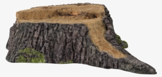 Luxury Homes And Distinctive Properties For Sale - Tree Stump #9344056