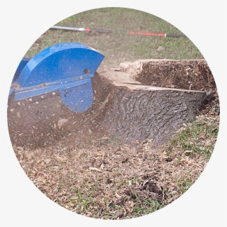 Tree Stump Removal - Stump Grinder #9344063