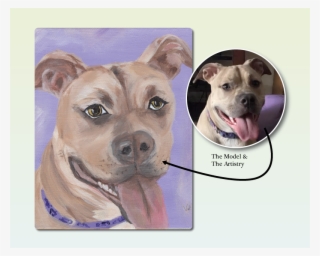 Violet Pitbull - American Pit Bull Terrier #9345987