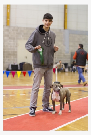 Dog Informations - Dog Catches Something #9345995