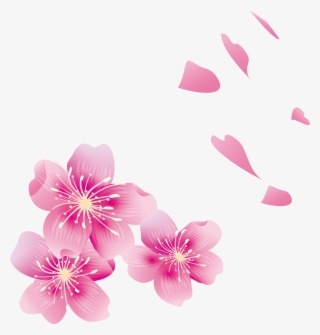Petal Transprent Free - Cánh Hoa Anh Đào #9346811