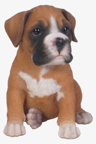 Puppy Clipart Boxer Puppy - Boxer Dog Puppy Png #9347776