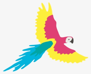 Macaw #9349224