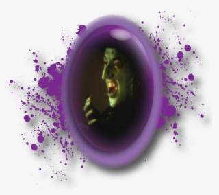 Wizard Of Oz - Circle #9349554