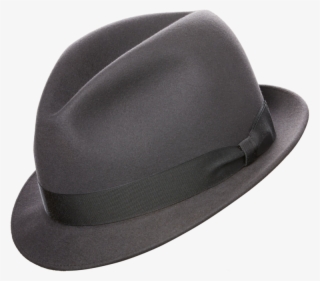 The Name Says It All - Fedora #9349883