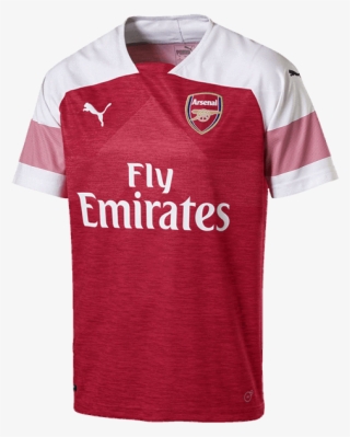 Arsenal Fc Adults Home Jersey 2018/19 - Arsenal Jersey 2018 2019 #9350738
