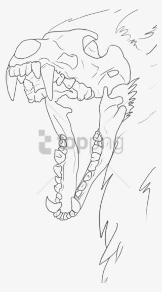 Free Png Wolf Skull Drawing Base Png Image With Transparent - Wolf Skull Drawing #9353421