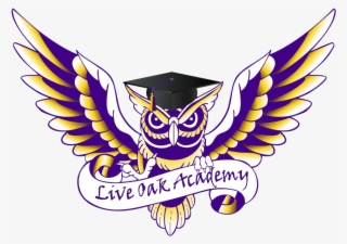 Graduation Cap & Gown - Live Oak Academy Hays #9353520