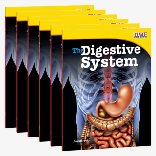 Kids Digestive System #9354393