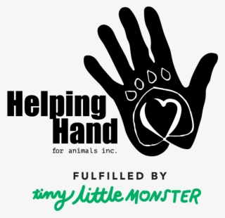 Bch Camping #9355157