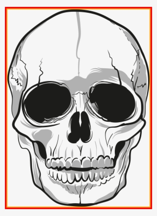 Free Stock Best Png Transparent Only For Popular And - Skull Png #9355343