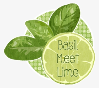 Cropped-basilmlime - Illustration #9355552