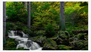 Score 50% - Wallpaper #9356463