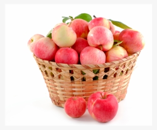 Manzanas - Fruit Is Never Found Singly Answer #9358468