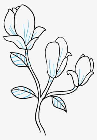 How To Draw Magnolia Flower - Easy Magnolia Flower Drawing #9360007