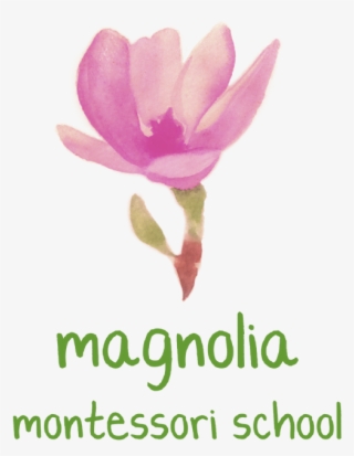 Magnolia Png #9360042 Magnolia Png #9360042