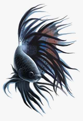 Betta On Behance - Cnidaria #9360401