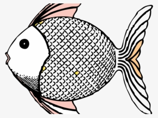 Tropical Fish Clipart Betta Fish - Fish Clipart #9360428