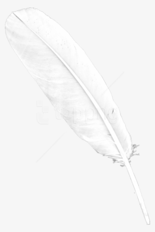 Free Png Images - Transparent Background White Feather #9361710