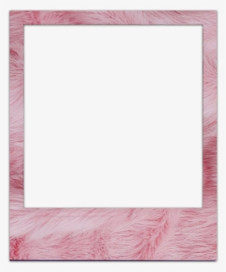 New - 29/08/2018 - Polaroid Png #9362201