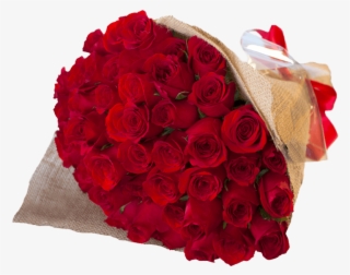 Categorias - Románticosrosas - Floristeria Tijuana #9362236