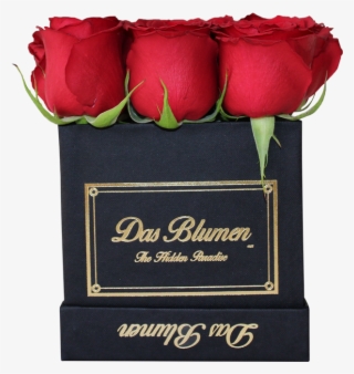 Estuche Cúbico Mini Con Rosas Naturales - Garden Roses #9362241