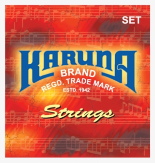 Acoustic 12 Strings Guitar - Flyer #9362270