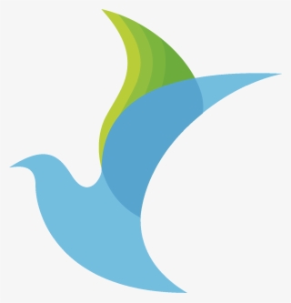 Esta Entrada Fue Publicada En - Paloma Derechos Humanos #9362649