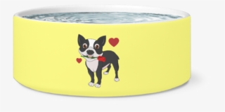 Boston Terrier #9363651