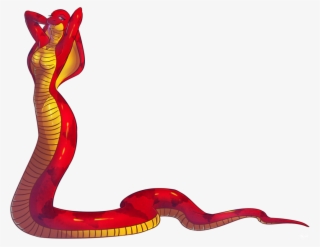 1016 X 786 4 - Snake #9364103