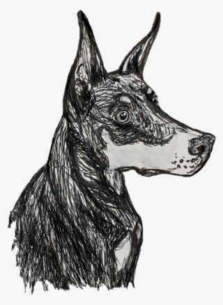Bleed Area May Not Be Visible - Dobermann #9365084