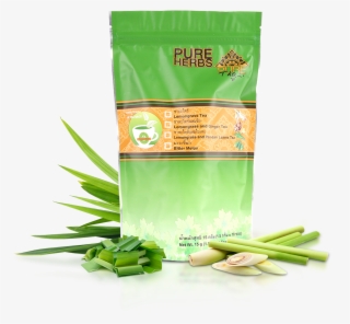 Aloe #9365234