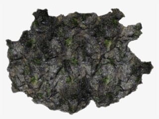 05 854k Moss Sc1 06 Feb 2009 - Igneous Rock #9365404