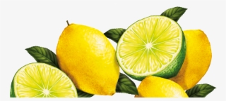 Sweet Lemon #9366347