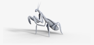 Mantis Wip - Mantidae #9366936